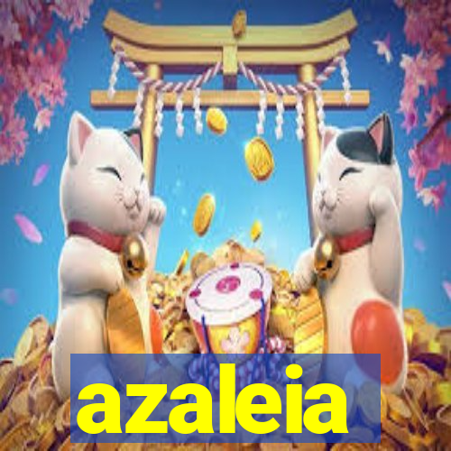 azaleia-br.com