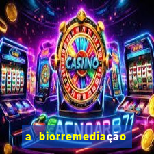 a biorremediação é uma tecnologia sustentável?