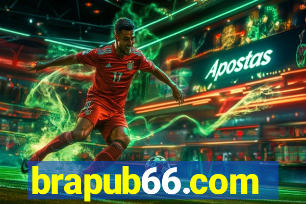 brapub66.com