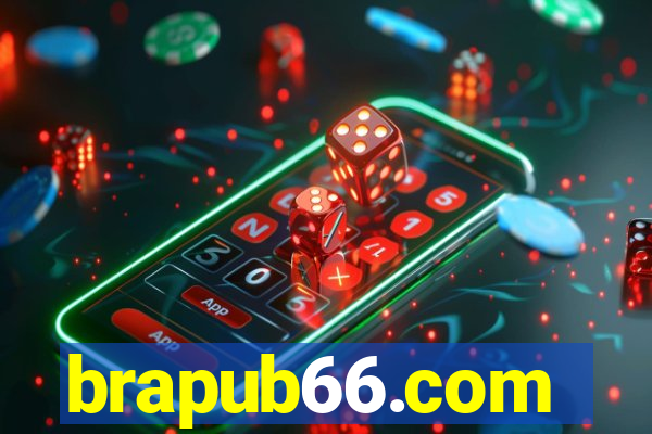 brapub66.com