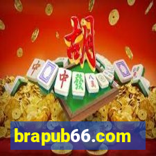 brapub66.com