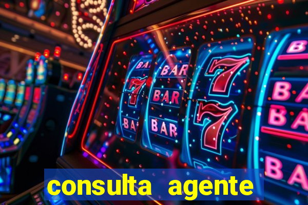 consulta agente autuador sp