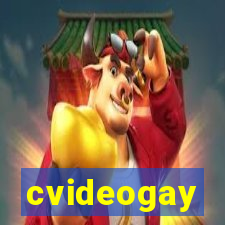 cvideogay