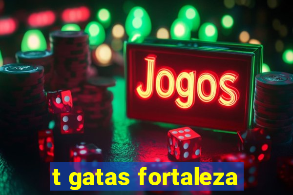 t gatas fortaleza