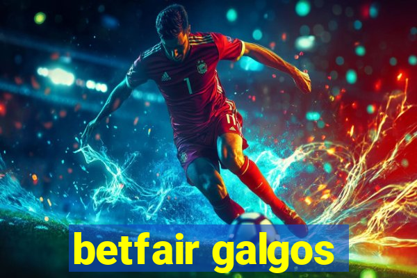 betfair galgos