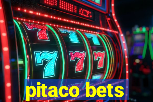 pitaco bets