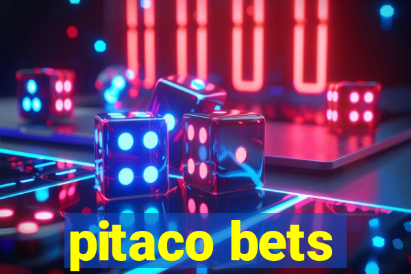 pitaco bets