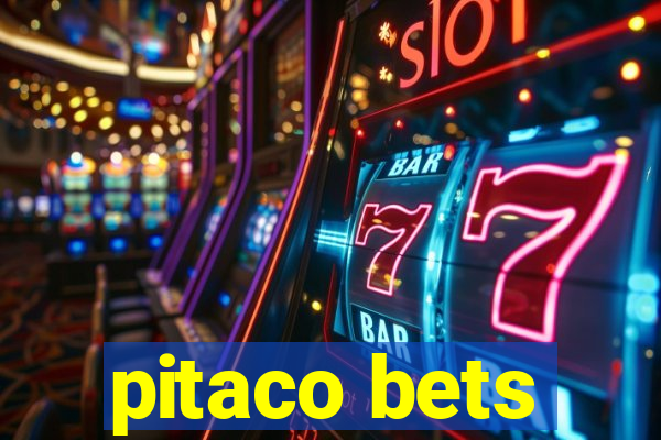 pitaco bets