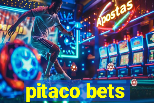 pitaco bets