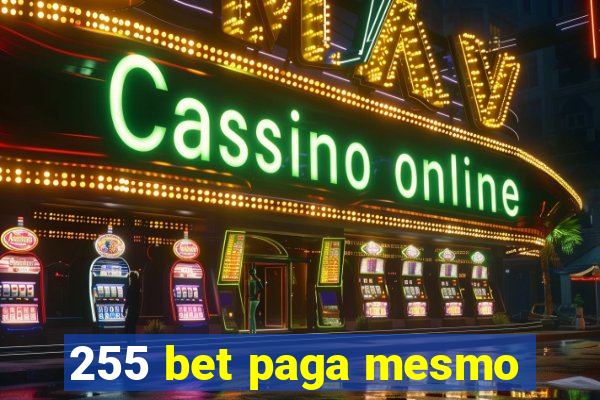 255 bet paga mesmo