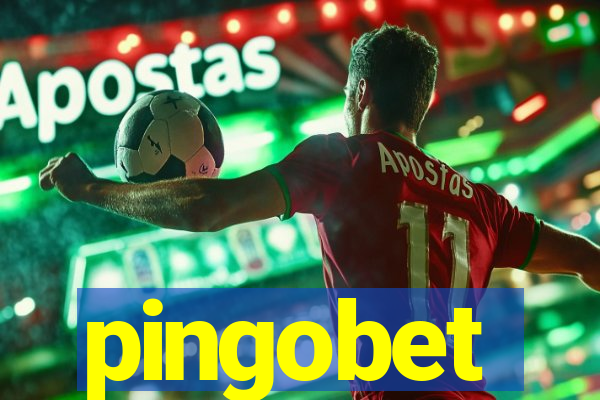 pingobet