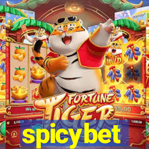 spicybet-2.com