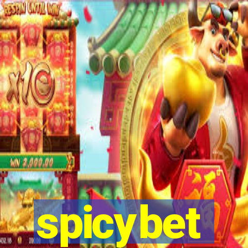 spicybet-2.com