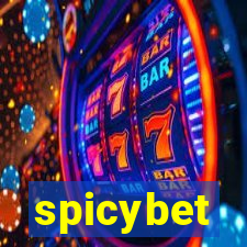 spicybet-3.com