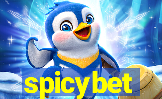 spicybet-4.com