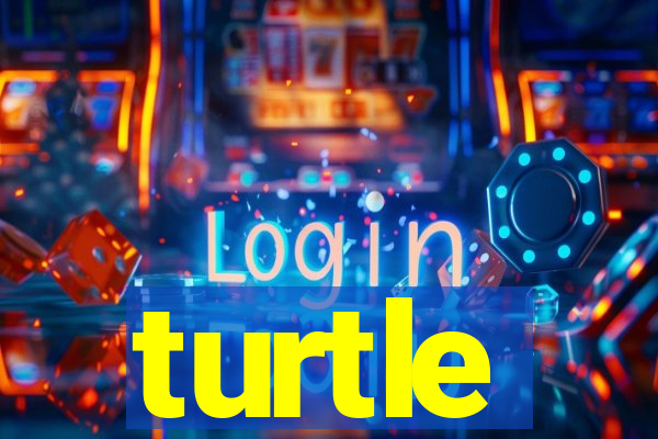 turtle-ty.com