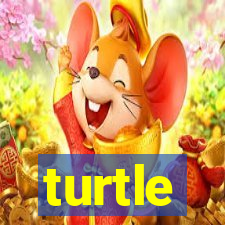 turtle-ty.com