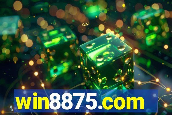 win8875.com