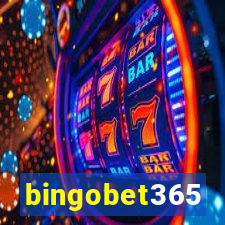 bingobet365